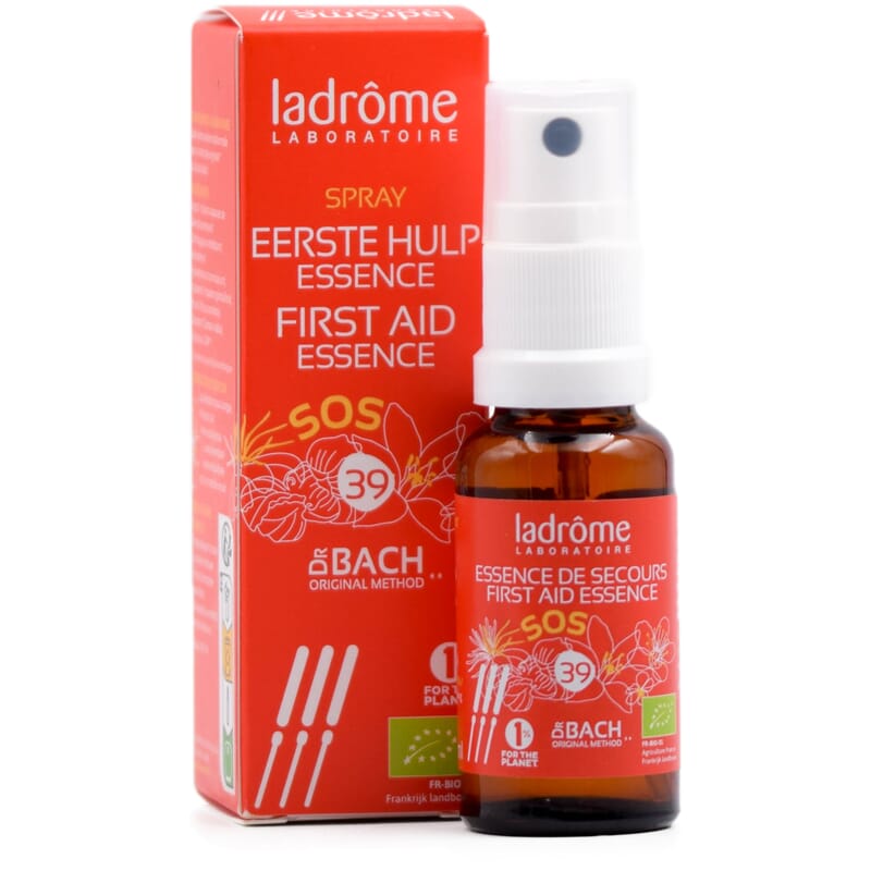 6523ca59a24c6ea5818a5e3f_2000x.jpg?v=1696844380