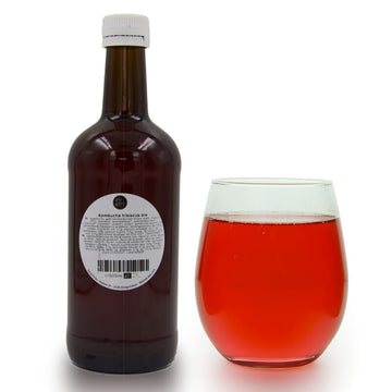 Kombucha hibiscus bio