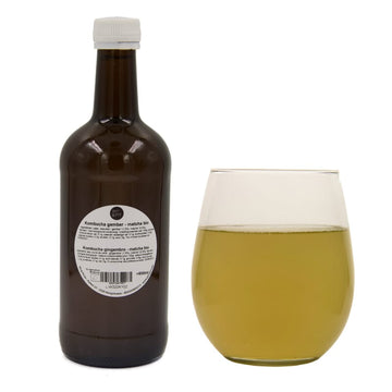 Kombucha gember - matcha bio