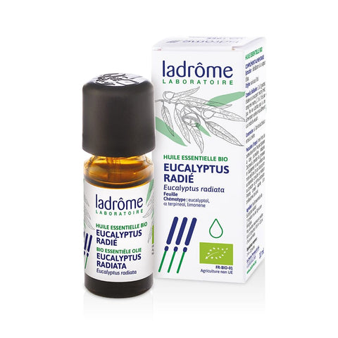 Eucalyptus radiata etherische olie LaDrome bio