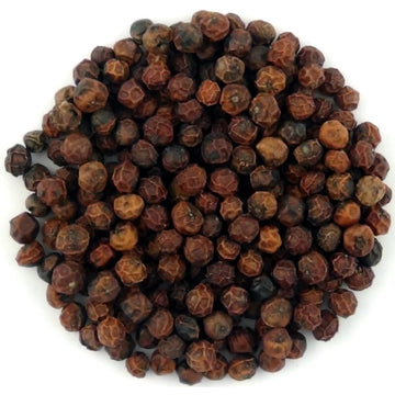 Alles over peper, en alle soorten peper – Pit&Pit