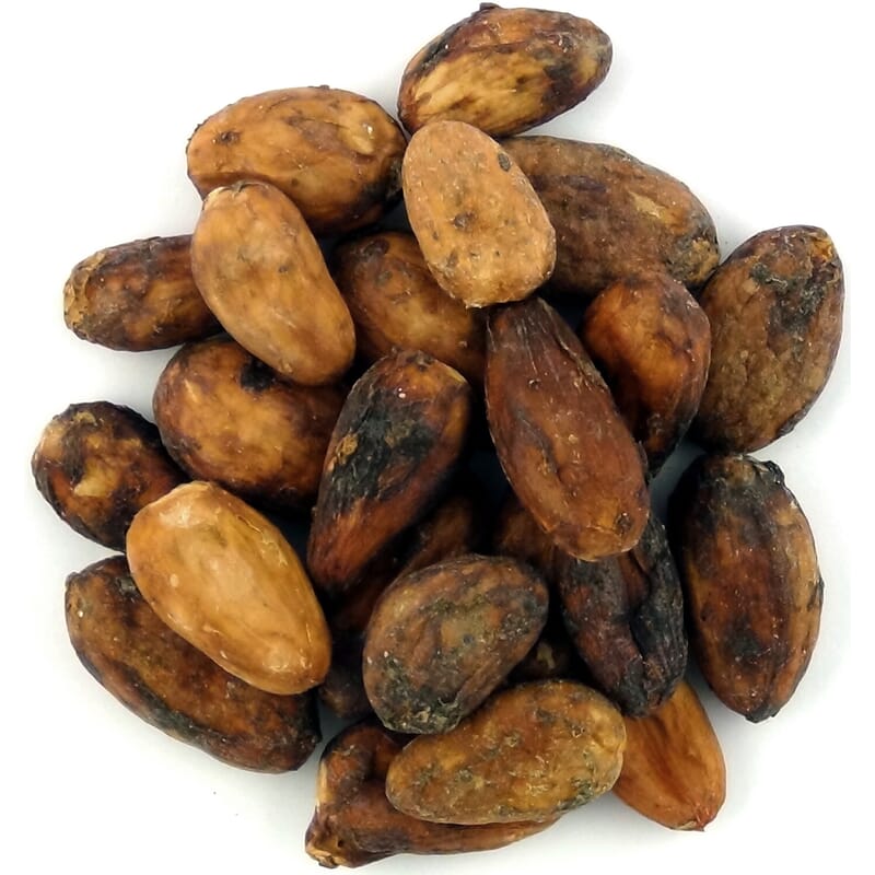 Criollo cacaobonen raw bio