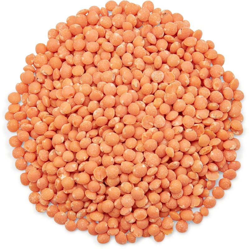 Colruyt Rode Linzen Rode linzen bio – Pit&Pit