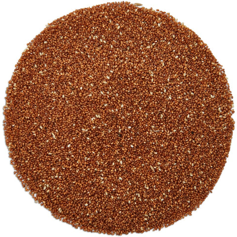 Teff bio