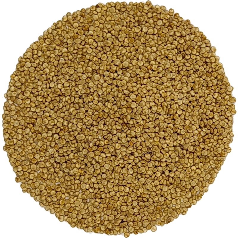 Quinoa uit België bio